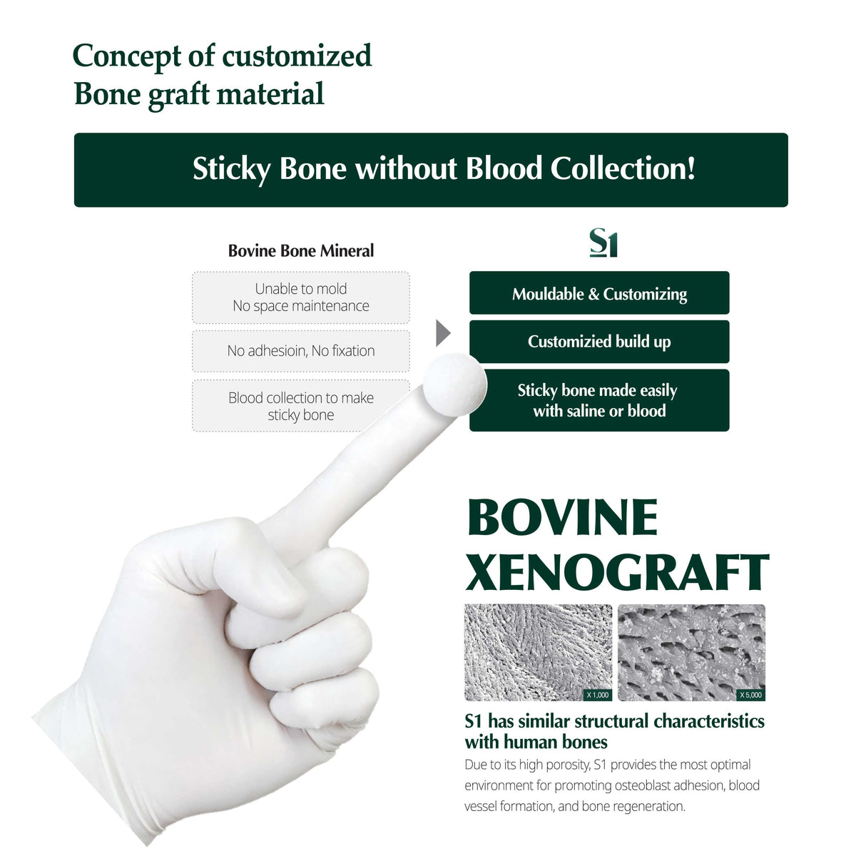 MedPark S1 Bovine Xenograft 1gr Sticky Bone – West Dental Supply