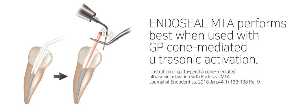 ENDOSEAL MTA