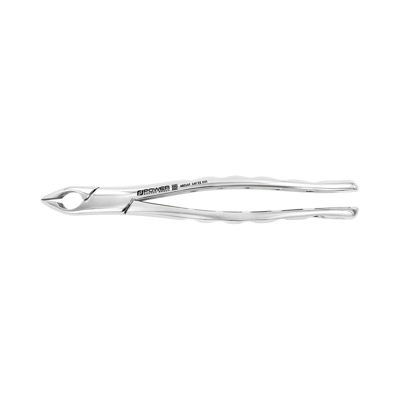 EXTRACTION FORCEPS – AMERICAN PATTERN #1AF, UPPER ANTERIOR TEETH