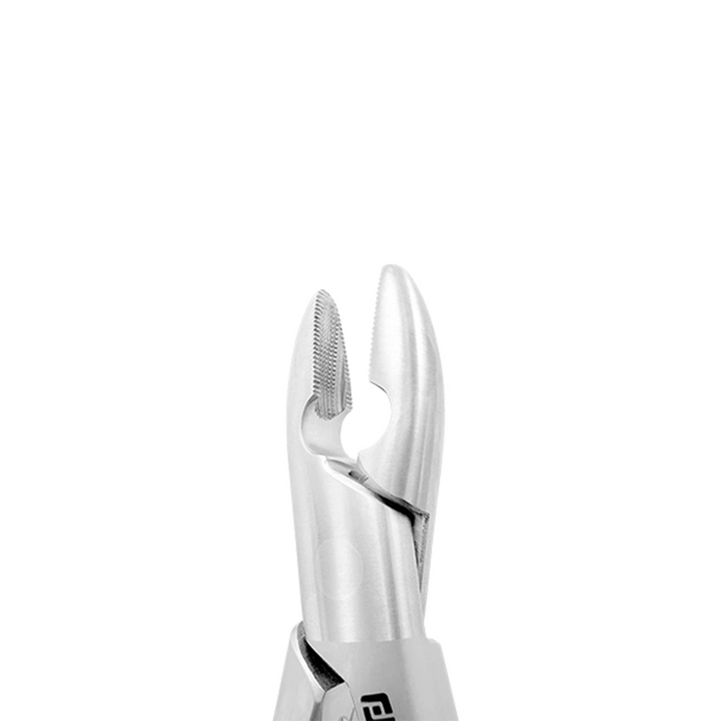 EXTRACTION FORCEPS – AMERICAN PATTERN #1, UPPER CENTRAL INCISORS