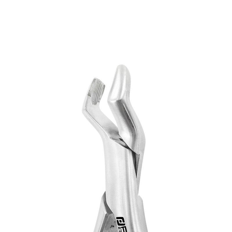 EXTRACTION FORCEPS – AMERICAN #10H, UPPER MOLARS