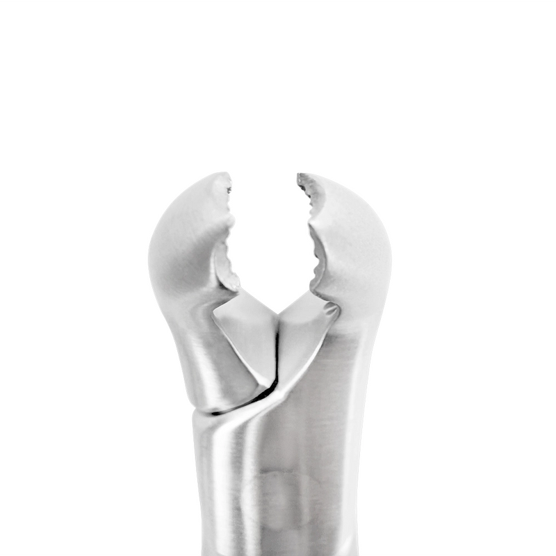 EXTRACTION FORCEPS – AMERICAN PATTERN #15, LOWER MOLARS