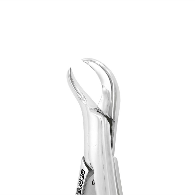 EXTRACTION FORCEPS – AMERICAN PATTERN #16, LOWER MOLAR COWHORN