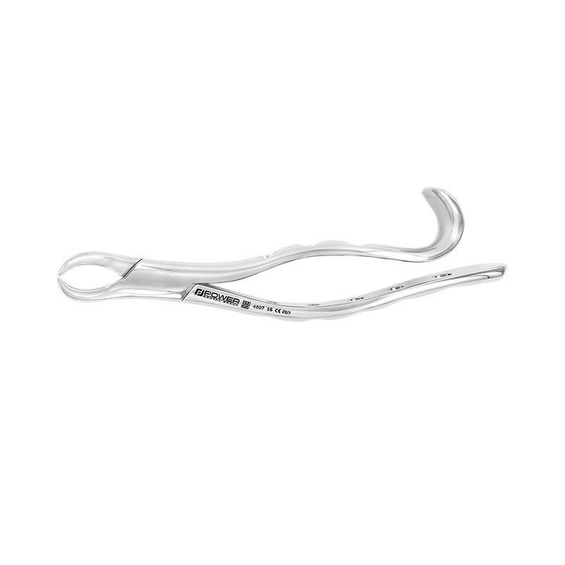 EXTRACTION FORCEPS – AMERICAN PATTERN #16, LOWER MOLAR COWHORN