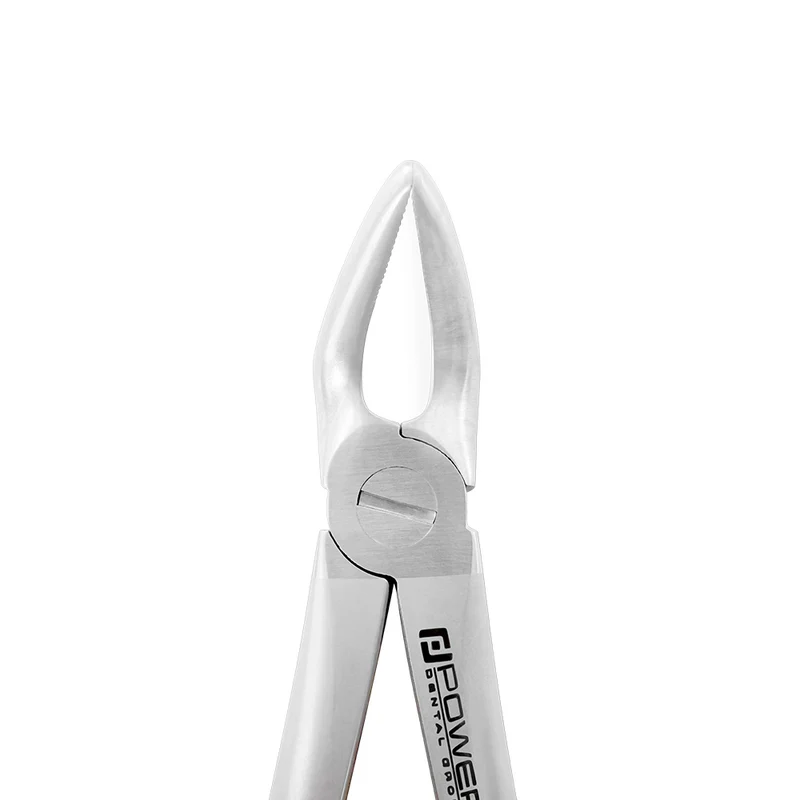 Extraction Forceps – English Pattern 8, Lower Premolar