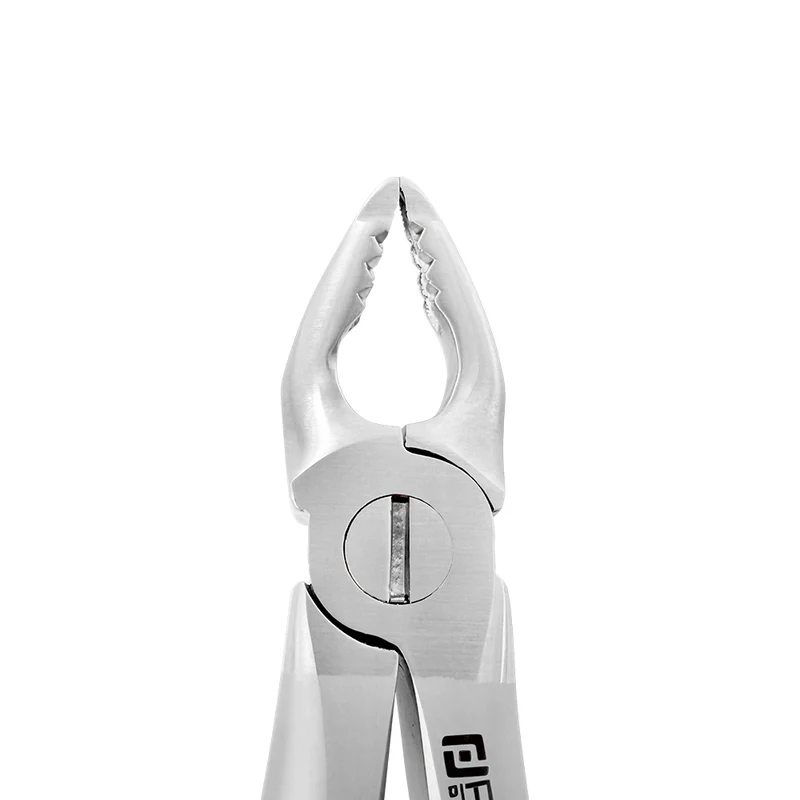 Extraction Forceps – F1, Upper Universal