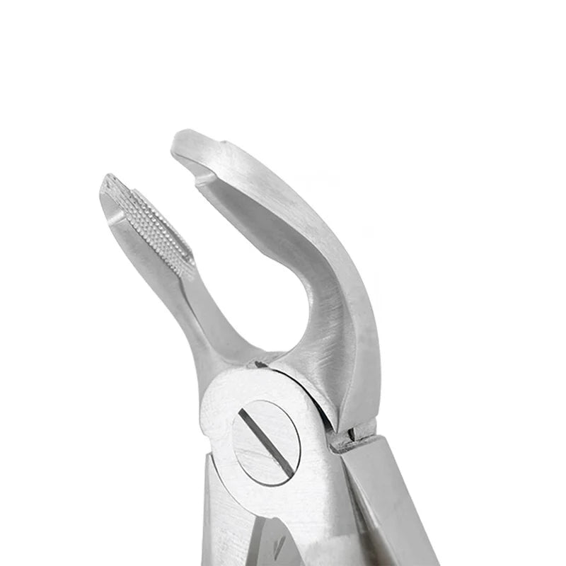 Extraction Forceps – F2, Lower Universal