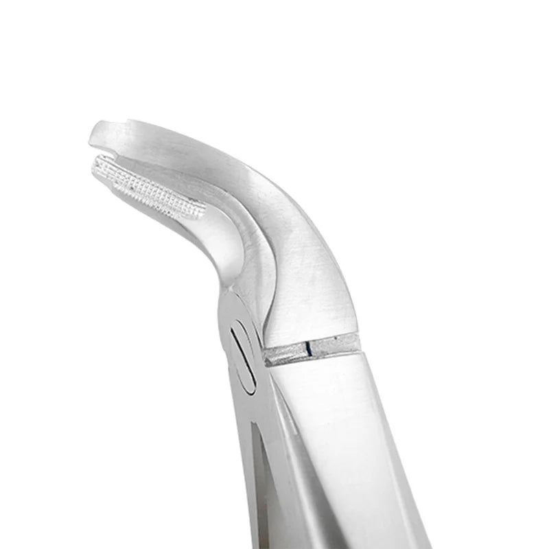 Extraction Forceps – F2, Lower Universal