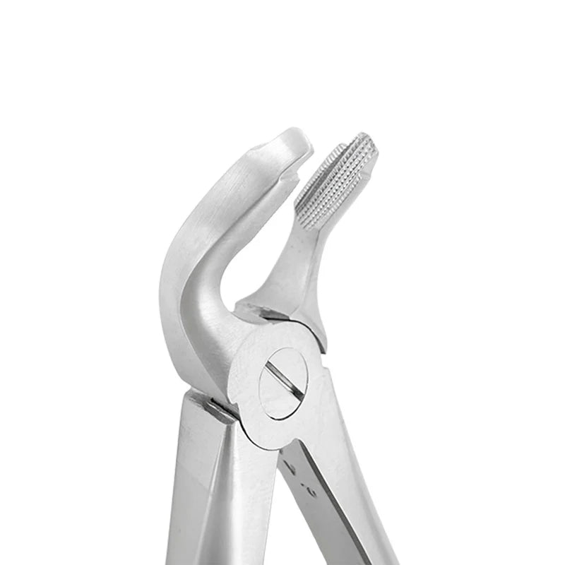 Extraction Forceps – F2, Lower Universal