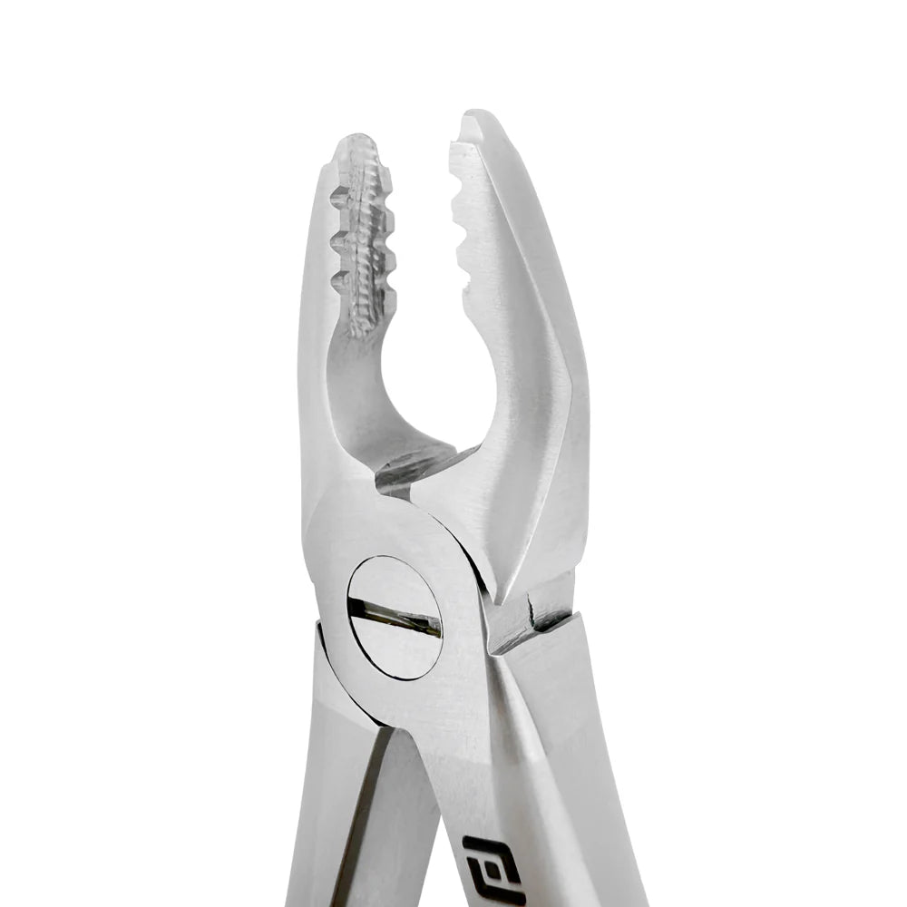 Pediatric Extraction Forceps – F3, Upper Anterior