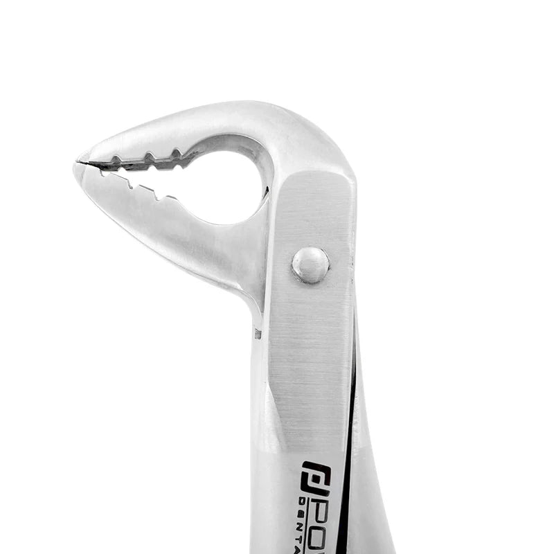 Extraction Forceps – F4, Lower Anterior (Standard Handle)