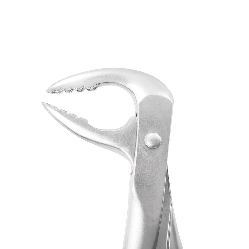 Extraction Forceps – F5, Lower Anterior