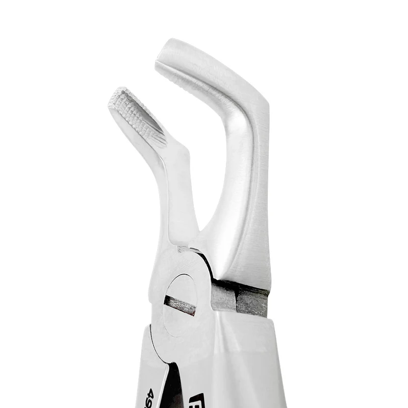 Pediatric Extraction Forceps – F7B, Lower Third Molars