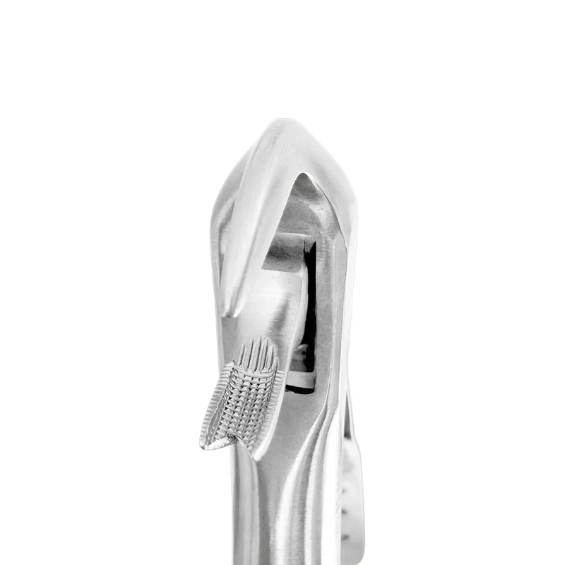 Extraction Forceps – F10, Lower Molar