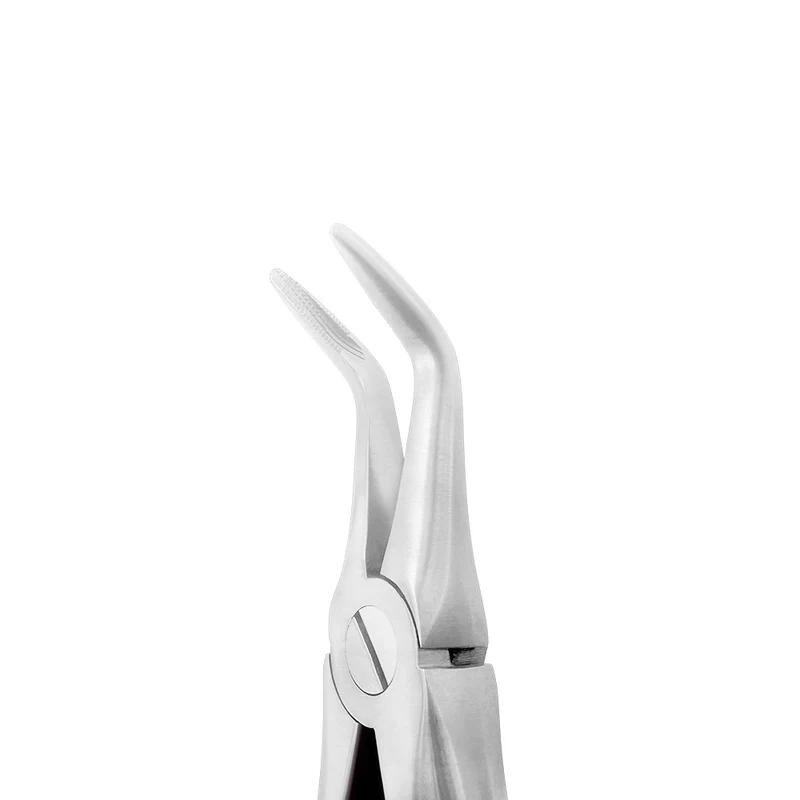 Extraction Forceps – F19, Lower Root, Narrow Beaks