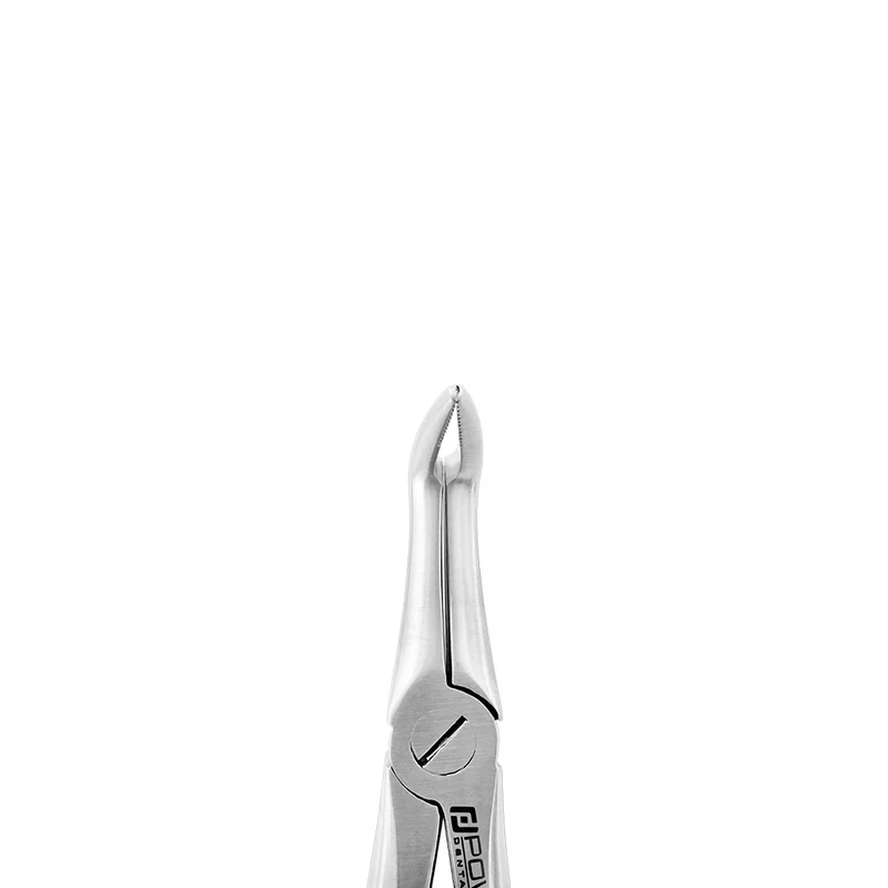 Extraction Forceps – F19, Lower Root