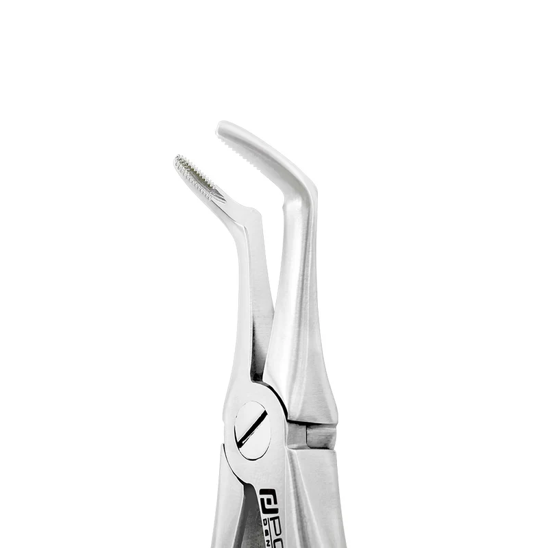 Extraction Forceps – F19, Lower Root