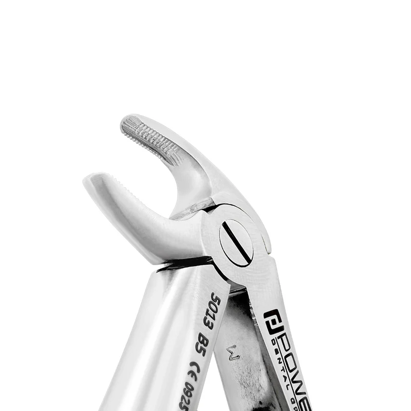 Extraction Forceps – Baby B5, Lower Incisor