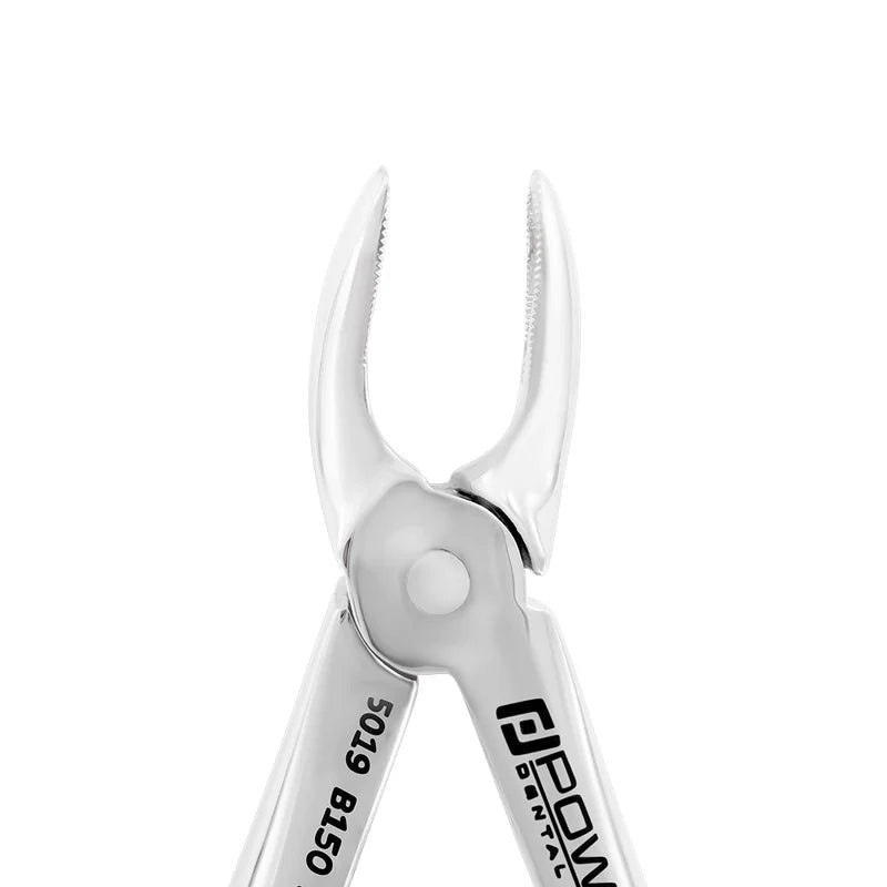 Extraction Forceps – Baby B150SK, Upper Universal