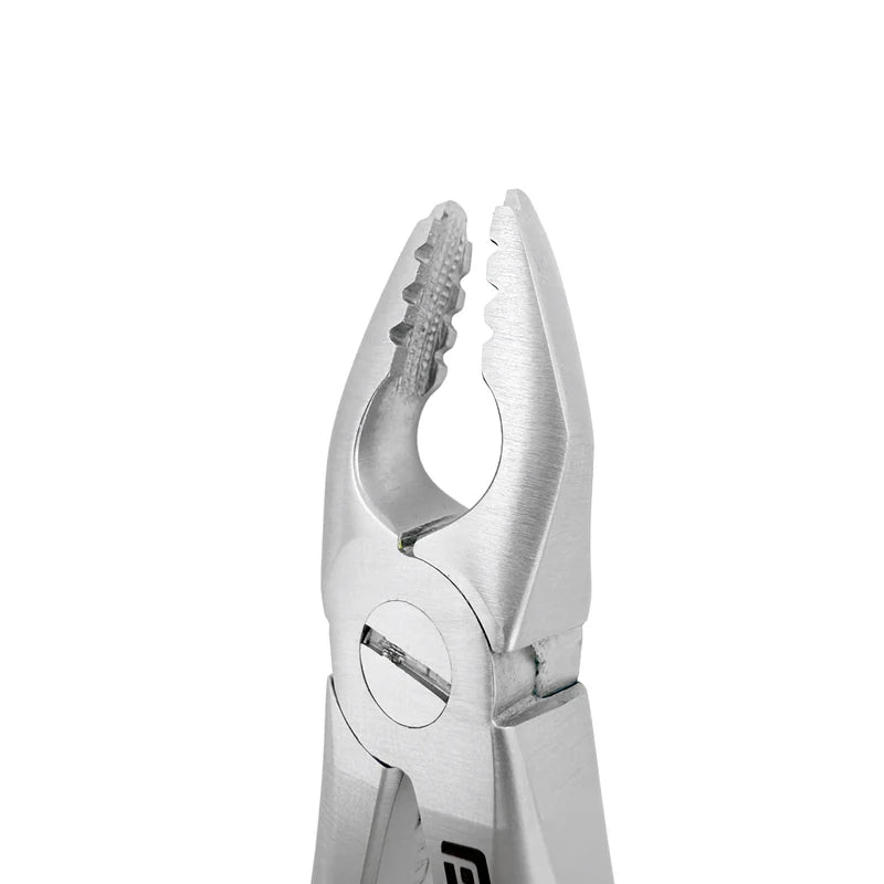 Power Atraumatic Extraction Forceps – F1P, Upper Premolars