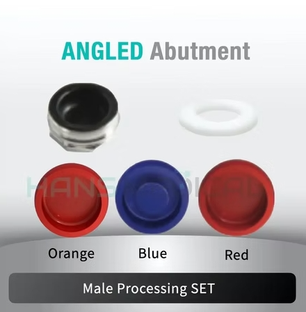 [SGS] Kerator Abutment Set