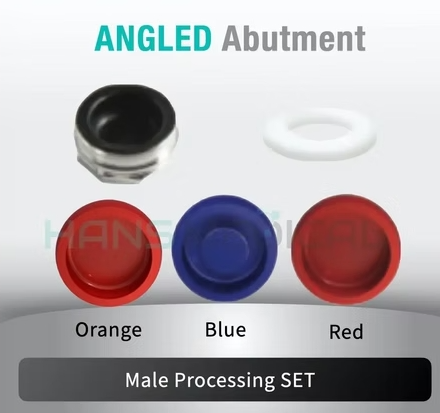[MIS] Kerator Abutment Set