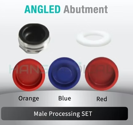 [LIFECORE BIOMEDICAL] Kerator Abutment Set