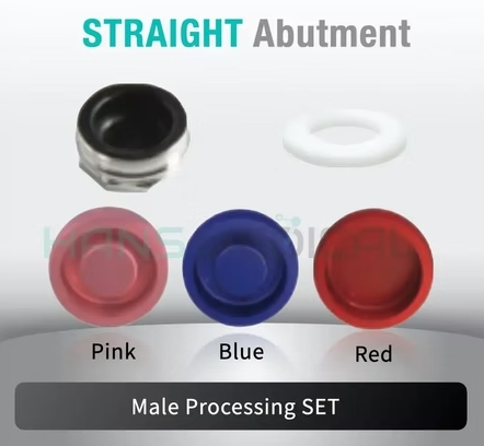 [Hahn Tapered] Kerator Abutment Set