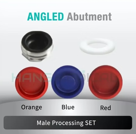 [Hahn Tapered] Kerator Abutment Set