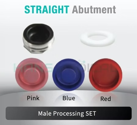 [Blue Sky Bio] Kerator Abutment Set