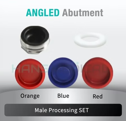 [Blue Sky Bio] Kerator Abutment Set