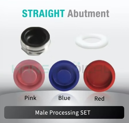 [BIOHORIZON] Kerator Abutment Set