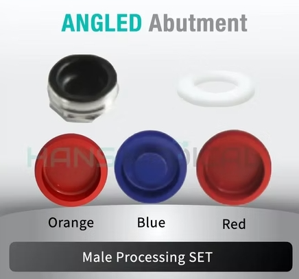[ADIN] Kerator Abutment Set