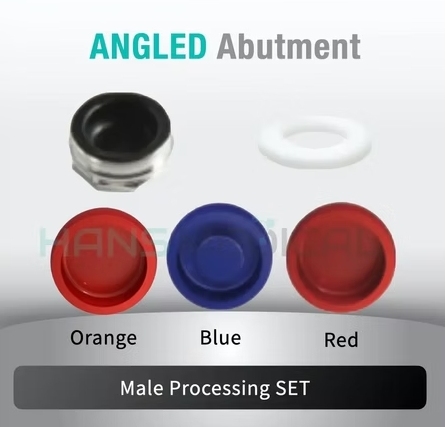 [SHINHUNG] Kerator Abutment Set