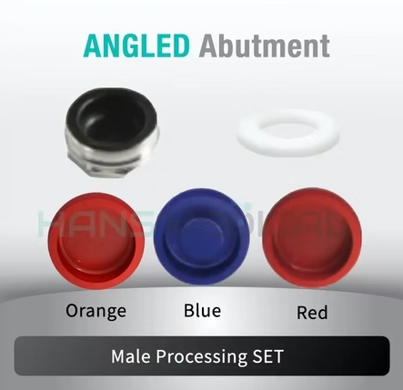 [BIOTEM] Kerator Abutment set