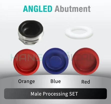 [DIO IMPLANT] Kerator Abutment set